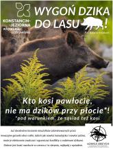 Plakat kampanii „Wygoń dzika do lasu” przedstawiający dziki ukryte wśród nawłoci oraz informację, że regularne koszenie nieużytków porośniętych tą rośliną pomaga ograniczyć jej rozprzestrzenianie się i zmniejsza ryzyko pojawiania się dzików w pobliżu zabudowań.
