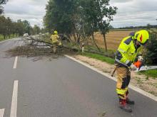 Dwóch strażaków usuwa powalone drzewo blokujące drogę. Jeden z nich przygotowuje pilarkę, a drugi stoi przy konarach leżących na jezdni