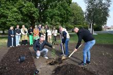 Delegacje z Hranic i Konstancina-Jeziorny sadzą sadzonkę dębu.