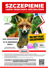   plakat przedstawiający dorosłego lisa, informujący o szczepieniach 