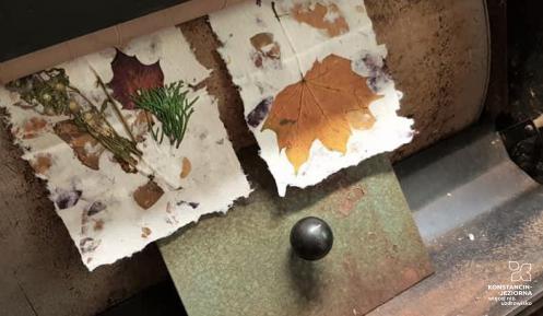 Odwiedzający muzeum mogą własnoręcznie wykonać czerpany papier Dwie kartki czerpanego papieru, na których odbite są jesienne liście. Kartki oparte są o duży walec, przez który właśnie przeszły.