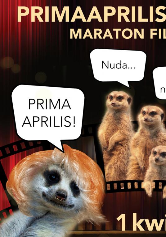 Humorystyczny plakat primaaprilisowy. 3 lemury dyskutują o występie na scenie lemura aktora.