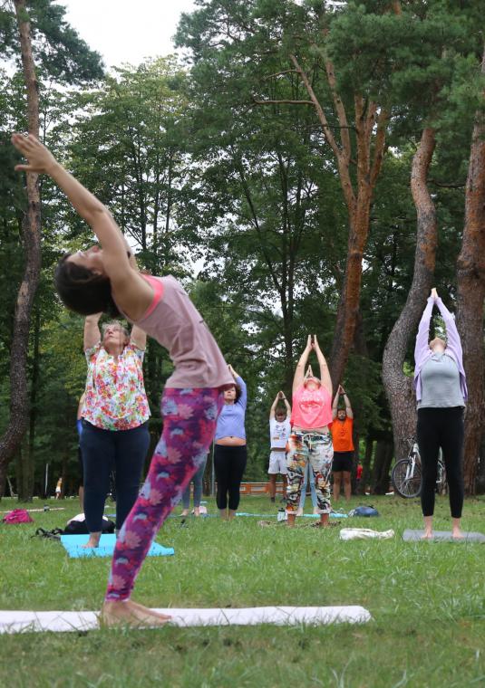 Kobiety ćwiczą jogę w parku. Ręce trzymają splecione nad głową. 
