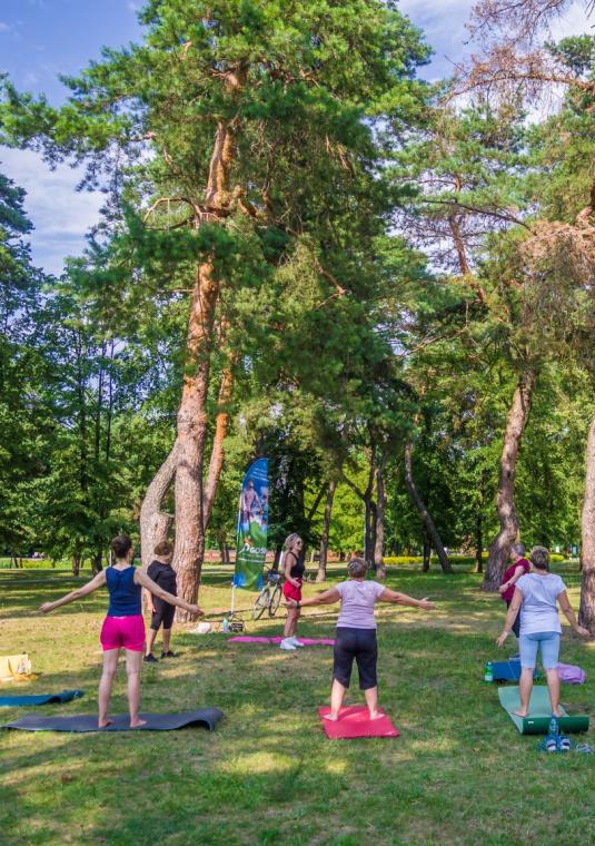 grupka kobiet ćwiczy na trawie w tle drzewa