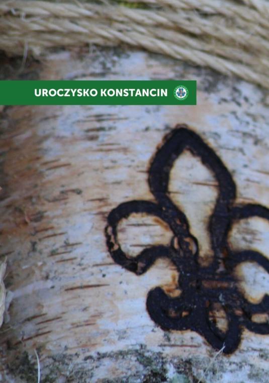 lilijka na drzewie i rysowana pięciolinia z nutami