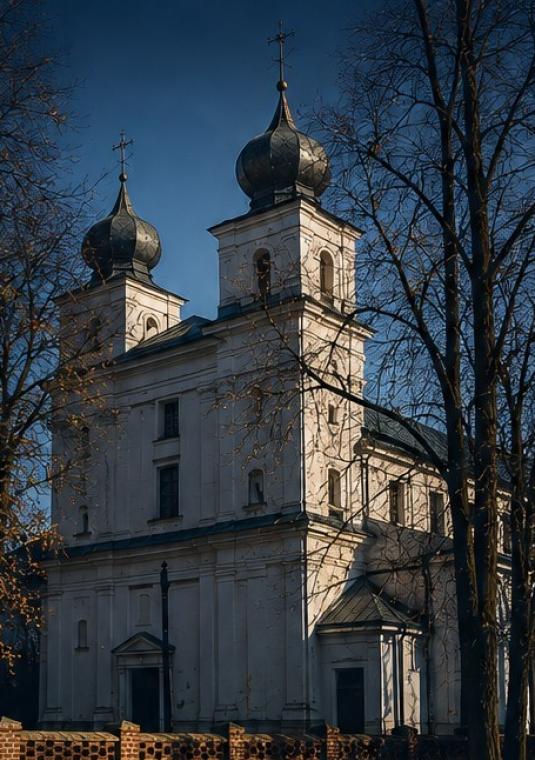 Grafika promująca publikację „Księga małżeństw parafii Cieciszew 1660–1717”. Po prawej stronie widoczne jest zdjęcie zabytkowego, białego kościoła z dwoma wieżami zwieńczonymi ciemnymi hełmami z krzyżami, otoczonego drzewami. Po lewej stronie, na ciemnym tle, umieszczono duży, czytelny napis w białym i złotym kolorze: „Księga małżeństw parafii Cieciszew 1660–1717”.