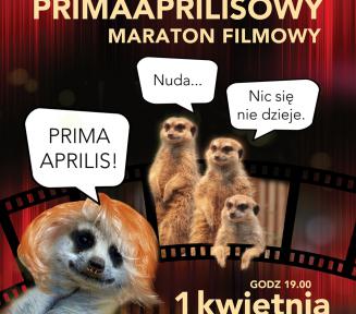 Humorystyczny plakat primaaprilisowy. 3 lemury dyskutują o występie na scenie lemura aktora.