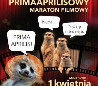 Humorystyczny plakat primaaprilisowy. 3 lemury dyskutują o występie na scenie lemura aktora.