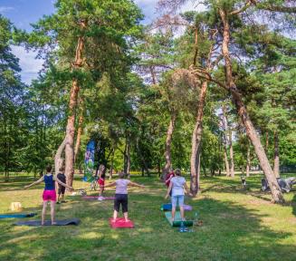 na świeżym powietrzu ćwiczą kobiety ubrane w sportowe stroje