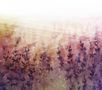 obraz akwarelowy lawenda na tle zachodzącego słońca